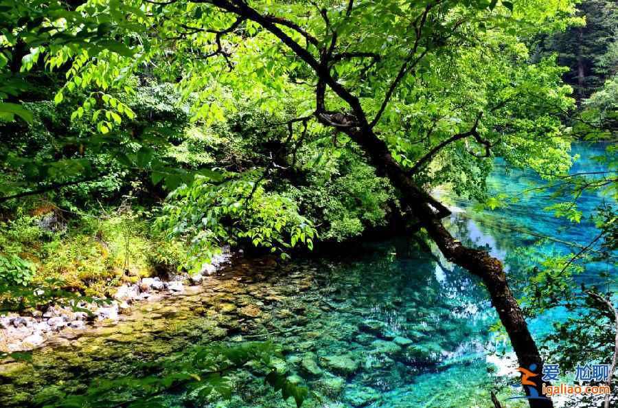 【九寨溝最佳旅游時間】什么時候去九寨溝最好？
