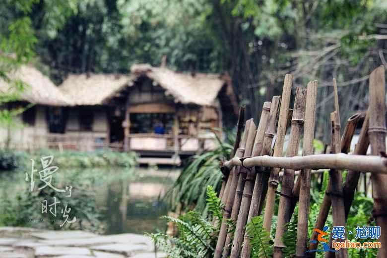 成都必去的旅游景點，成都旅游必去景點推薦？