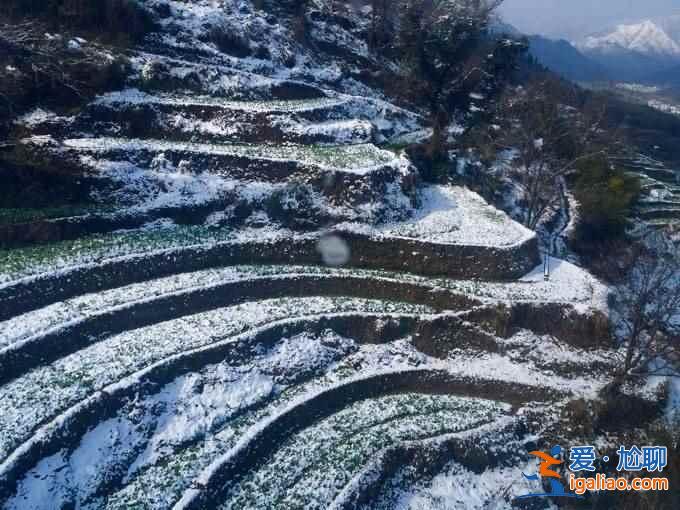 不談油菜花,來看看下雪的婺源有多美!? 不談油菜花,來看看下雪的婺源有多美!?