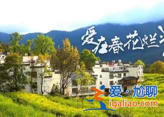 不談油菜花,來看看下雪的婺源有多美!? 不談油菜花,來看看下雪的婺源有多美!?