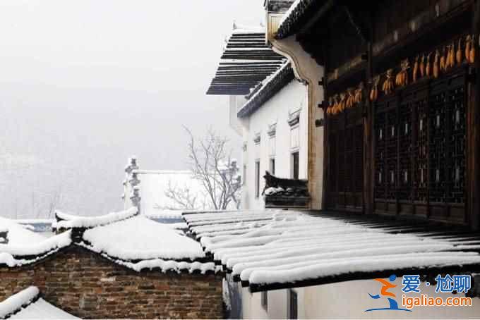 不談油菜花,來看看下雪的婺源有多美?。? alt=