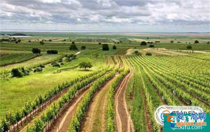 英國倫敦大學(xué)學(xué)院學(xué)術(shù)實(shí)力及入學(xué)標(biāo)準(zhǔn)解析？