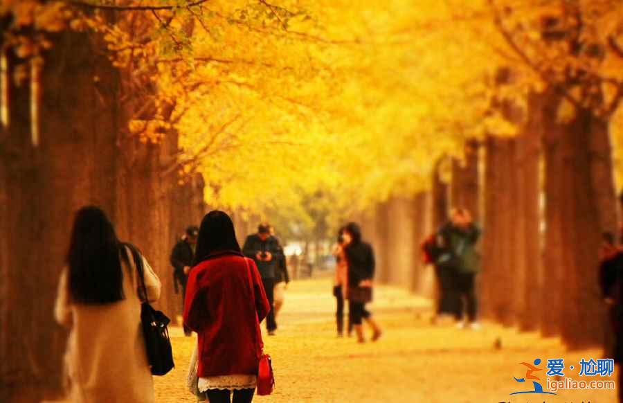 不想去故宮、長(zhǎng)城、頤和園...北京的這些地方你一定想去！？