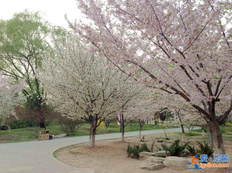 不想去故宮、長(zhǎng)城、頤和園...北京的這些地方你一定想去！？