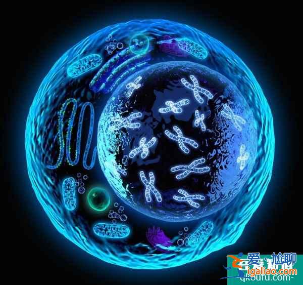 取卵數量于試管成功的三大重要意義? 取卵數量于試管成功的三大重要意義?