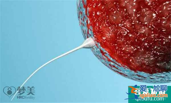 取卵數量于試管成功的三大重要意義? 取卵數量于試管成功的三大重要意義?