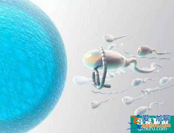 試管嬰兒：備孕多年等來免疫性不孕，該怎么辦？？