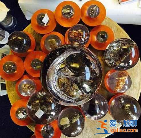 大便博物館，你會選擇去看嗎？？