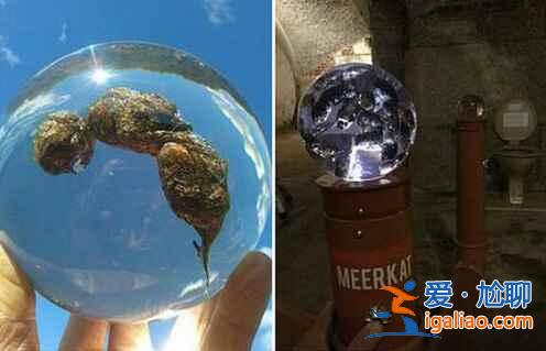 大便博物館，你會選擇去看嗎？？