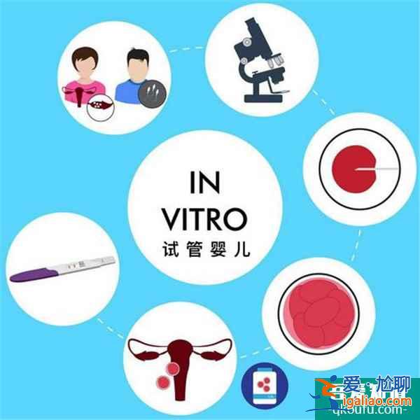 試管嬰兒各項費用構成與赴美性價比？