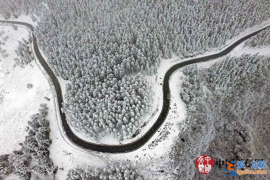 獨家航拍重慶仙女山雪后美景? 獨家航拍重慶仙女山雪后美景?