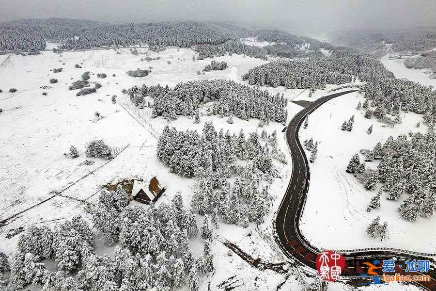 獨家航拍重慶仙女山雪后美景? 獨家航拍重慶仙女山雪后美景?