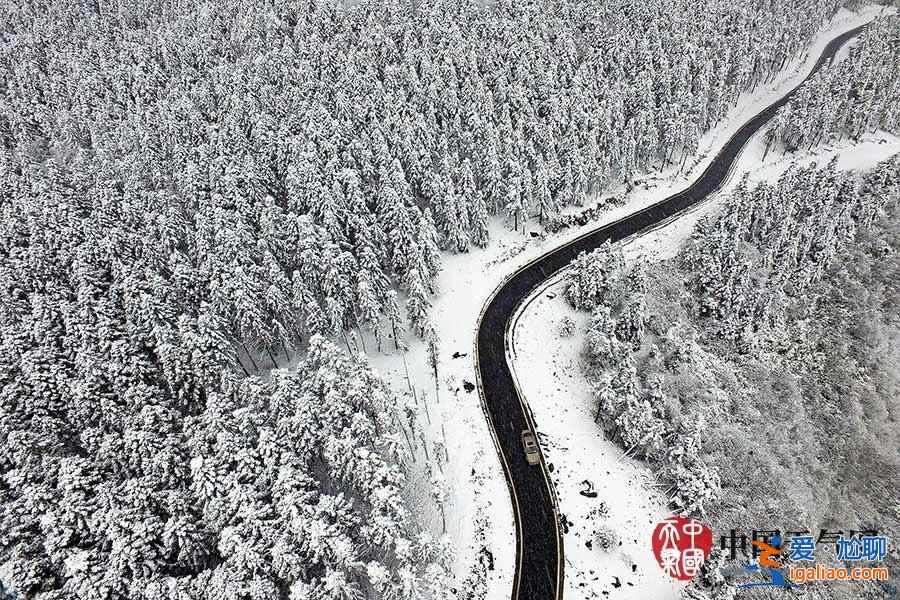 獨家航拍重慶仙女山雪后美景? 獨家航拍重慶仙女山雪后美景?