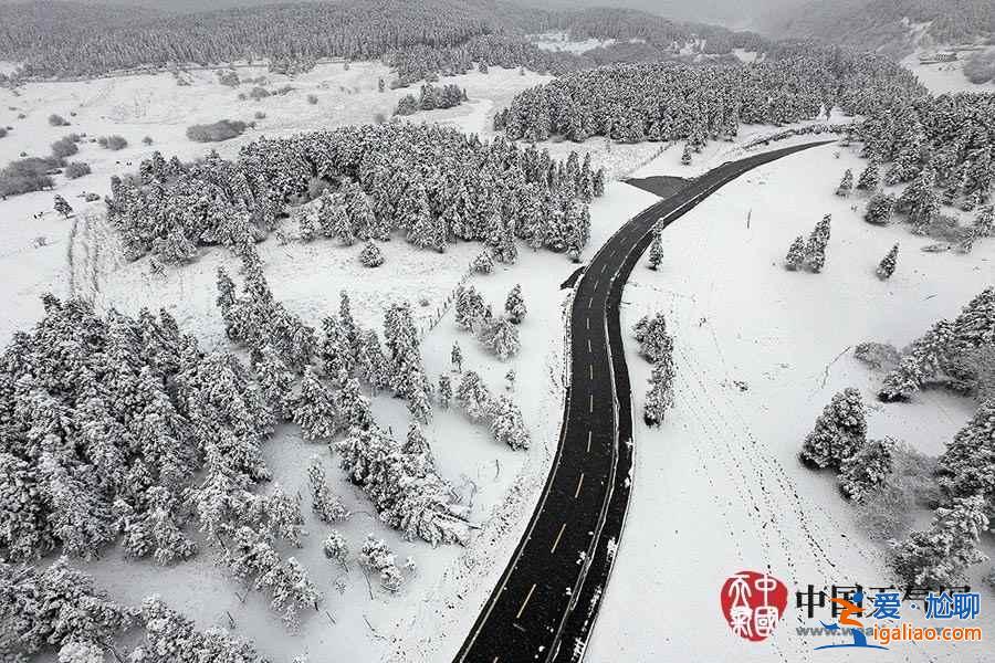 獨家航拍重慶仙女山雪后美景? 獨家航拍重慶仙女山雪后美景?