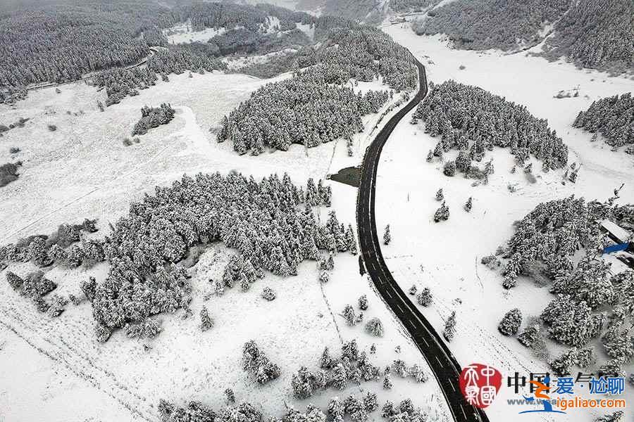 獨家航拍重慶仙女山雪后美景? 獨家航拍重慶仙女山雪后美景?