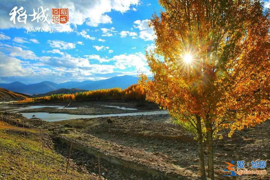 四川最美旅行表，一年四季都有美景！？