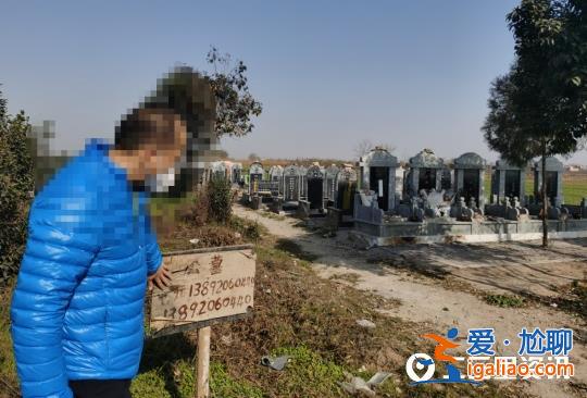 陜西興平一村莊違法占用耕地建墓園 6000元就能買塊墓地? 陜西興平一村莊違法占用耕地建墓園 6000元就能買塊墓地?