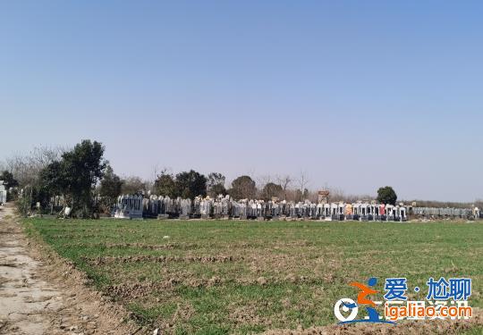 陜西興平一村莊違法占用耕地建墓園 6000元就能買塊墓地? 陜西興平一村莊違法占用耕地建墓園 6000元就能買塊墓地?