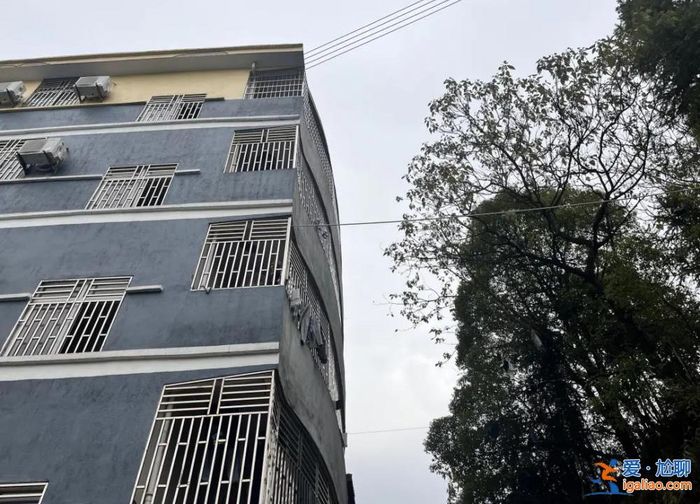 被焦灼、無(wú)解、謠言裹挾的雙親? 被焦灼、無(wú)解、謠言裹挾的雙親?