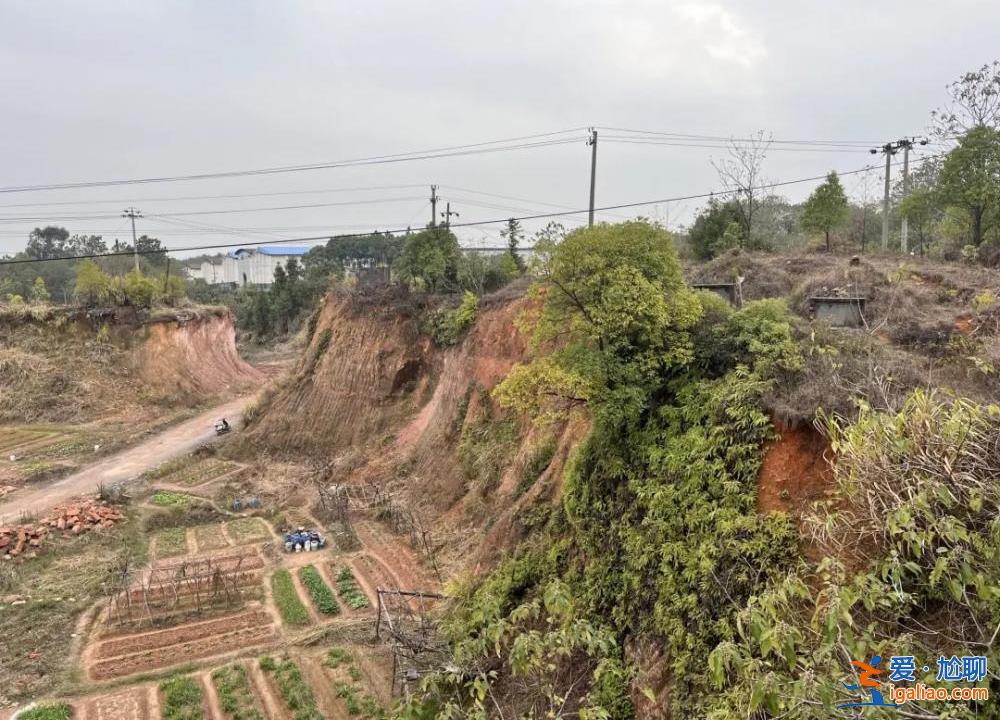 被焦灼、無(wú)解、謠言裹挾的雙親? 被焦灼、無(wú)解、謠言裹挾的雙親?