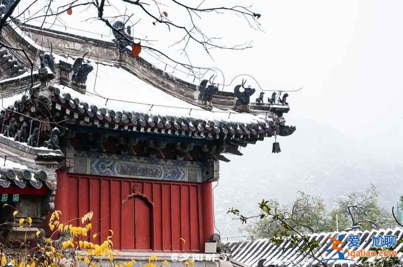 【北京拍雪景的地方】北京去哪里看雪景，北京雪景拍攝地推薦？