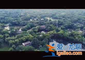 南國雪景,美爆了!總有一張你會另存為??? 南國雪景,美爆了!總有一張你會另存為!?