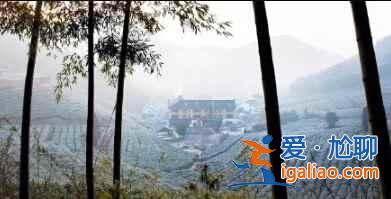 南國雪景，美爆了！總有一張你會另存為！？
