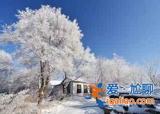 新年第一游，國內(nèi)6大旅行地High起來！？