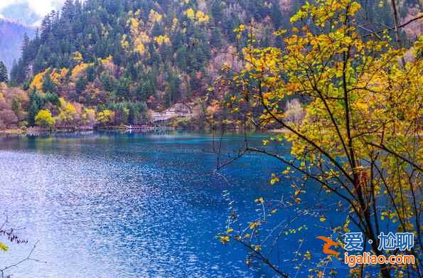 秋天來(lái)了，又到了九寨溝最美的季節(jié)！？