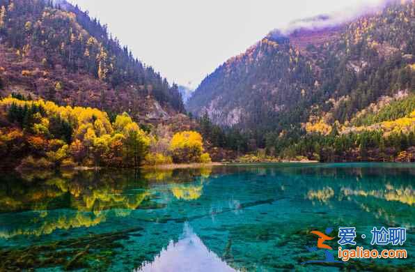 秋天來(lái)了，又到了九寨溝最美的季節(jié)！？