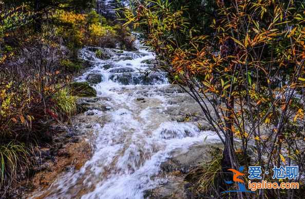 秋天來(lái)了，又到了九寨溝最美的季節(jié)！？
