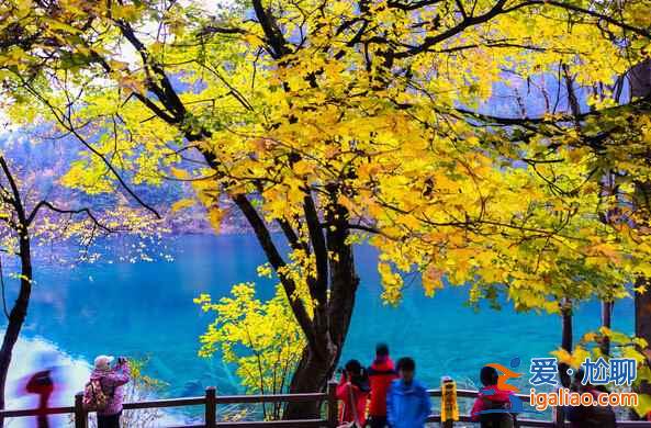 秋天來(lái)了，又到了九寨溝最美的季節(jié)！？