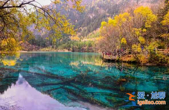 秋天來(lái)了，又到了九寨溝最美的季節(jié)！？