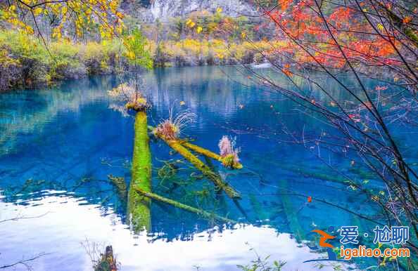 秋天來(lái)了，又到了九寨溝最美的季節(jié)！？