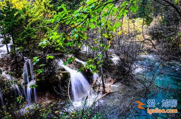 秋天來(lái)了，又到了九寨溝最美的季節(jié)！？