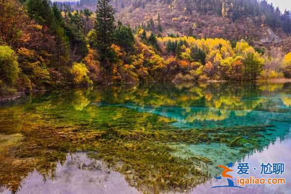 秋天來(lái)了，又到了九寨溝最美的季節(jié)！？