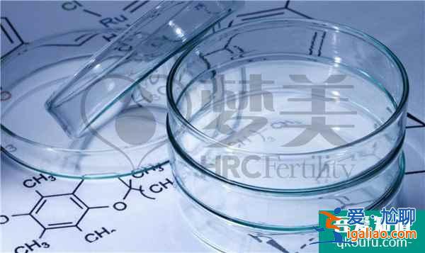 赴美試管嬰兒：做好五點，好孕不遠？
