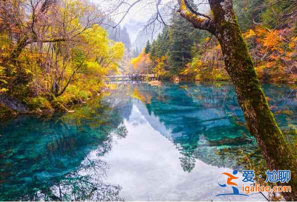 秋天來(lái)了，又到了九寨溝最美的季節(jié)！？