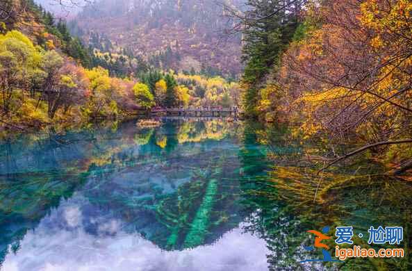 秋天來(lái)了，又到了九寨溝最美的季節(jié)！？