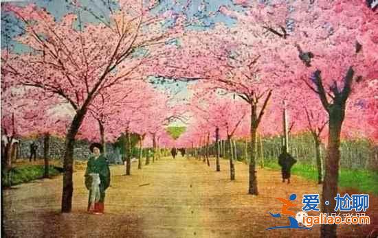 100多年前的青島什么樣？出乎意料??？