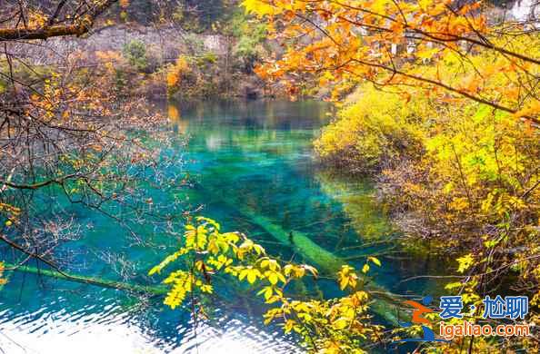 秋天來(lái)了，又到了九寨溝最美的季節(jié)！？