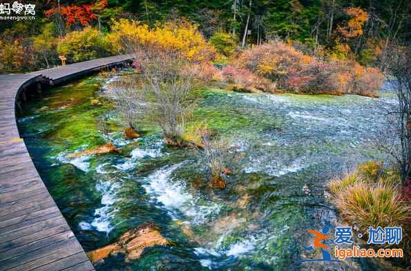 秋天來(lái)了，又到了九寨溝最美的季節(jié)！？