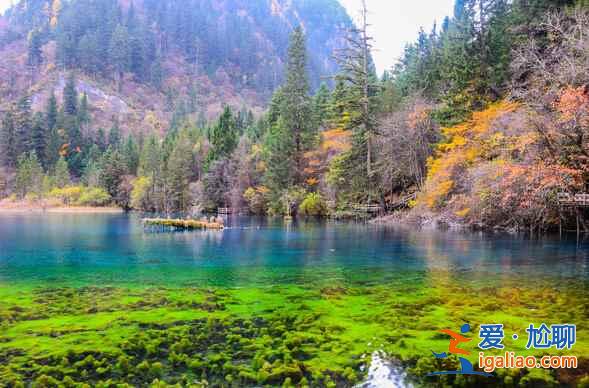 秋天來(lái)了，又到了九寨溝最美的季節(jié)！？