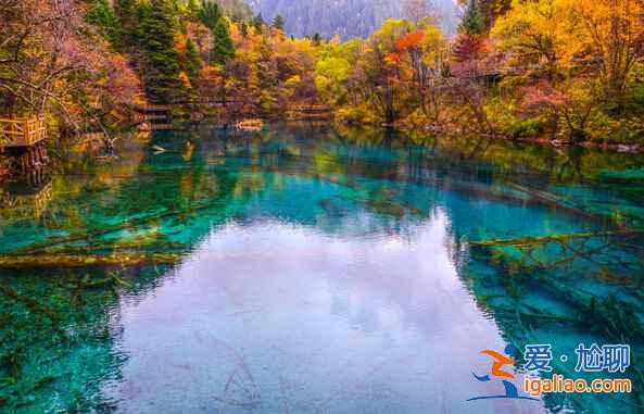 秋天來(lái)了，又到了九寨溝最美的季節(jié)！？