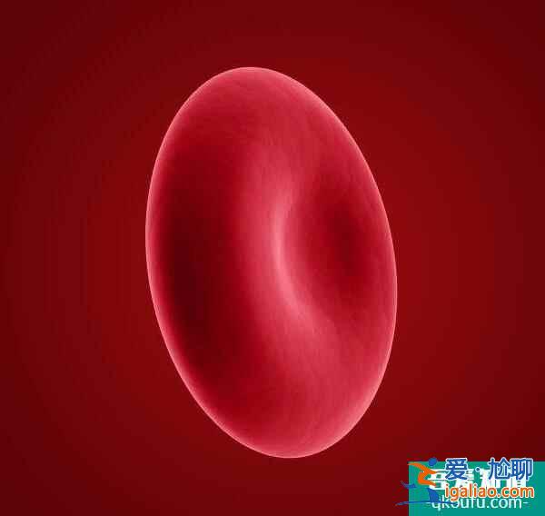 赴美試管嬰兒:自身抗體會阻止胚胎發育嗎?? 赴美試管嬰兒:自身抗體會阻止胚胎發育嗎??