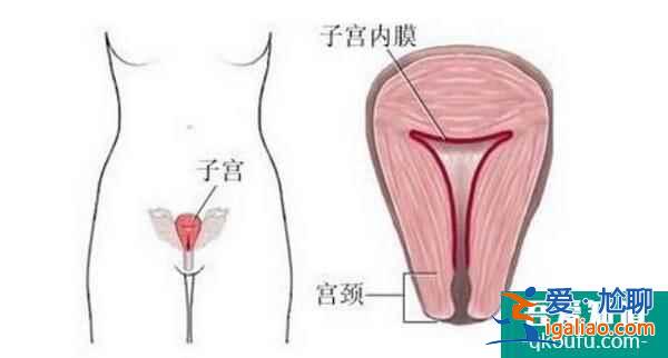 赴美試管嬰兒:自身抗體會阻止胚胎發育嗎?? 赴美試管嬰兒:自身抗體會阻止胚胎發育嗎??