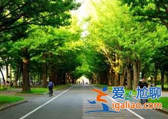 這樣的日本讓人感動,只為一個人而運行的車站? 這樣的日本讓人感動,只為一個人而運行的車站?