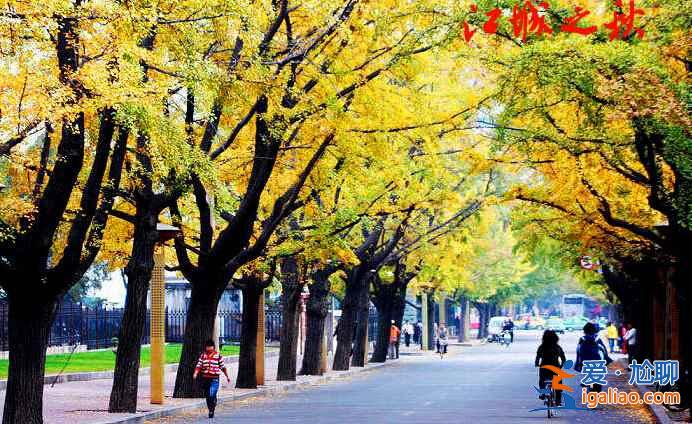 這里是中國一萬八千公里海岸線的北端起點,有“東北蘇杭”的美譽? 這里是中國一萬八千公里海岸線的北端起點,有“東北蘇杭”的美譽?