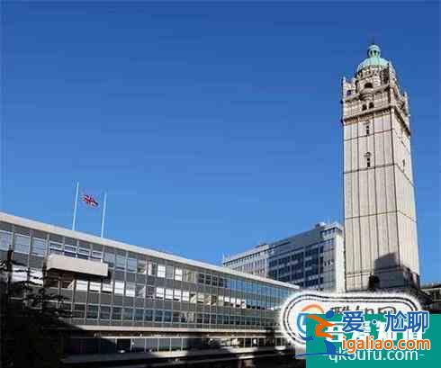 南澳大學職業會計專業和拉籌伯大學會計和金融管理專業哪個好？？