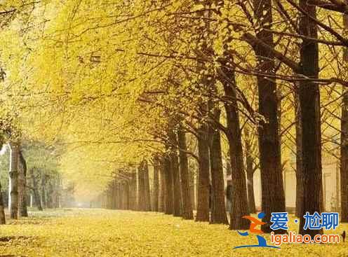 北京，每一處角落都有別樣的風情？